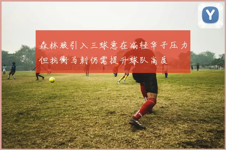 森林狼引入三球意在减轻华子压力但抗衡马刺仍需提升球队高度